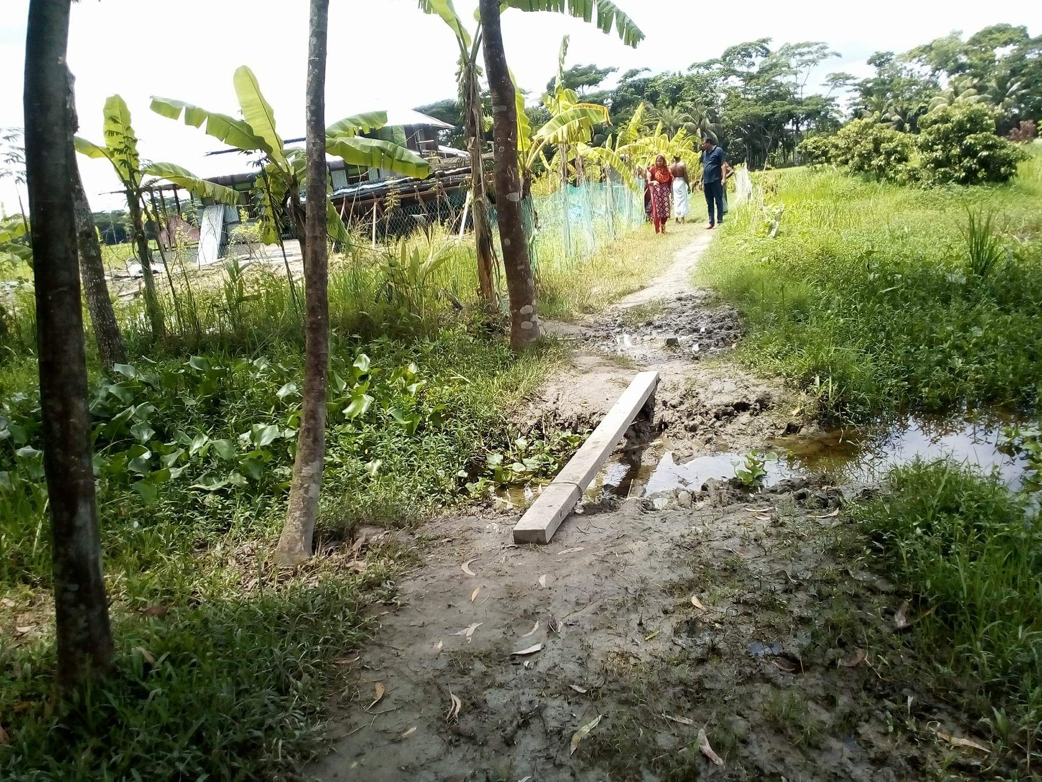 ভোলায় নৈশ্যপ্রহরী ব্যাংক কর্মকর্তা মোরশেদ এর অত্যাচারে অতিষ্ট বাপ্তা ইউনিয়নের জনগন