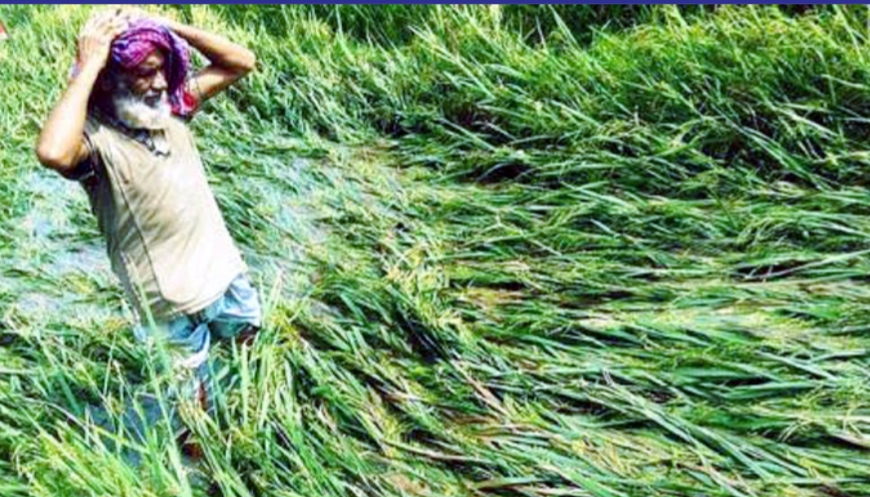 ১৬ জেলার ৩ লাখ হেক্টর ফসলি জমির ক্ষতি