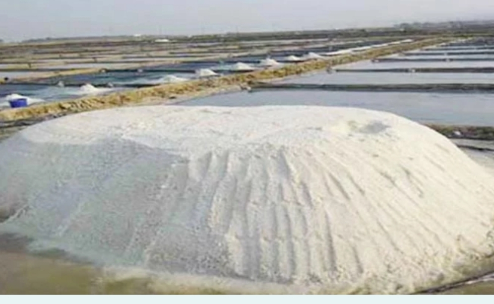 দেশে লবণের ঘাটতি নেই, গুজবে বিভ্রান্ত হবেন না