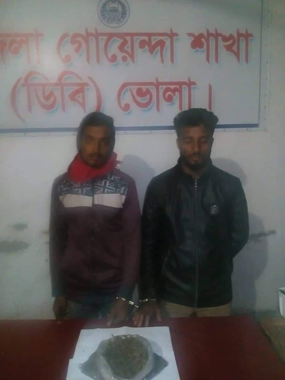 ভোলার ধনিয়ায় গাঁজাসহ দুই মাদক ব্যাবসায়ী ডিবি পুলিশর হাতে আটক