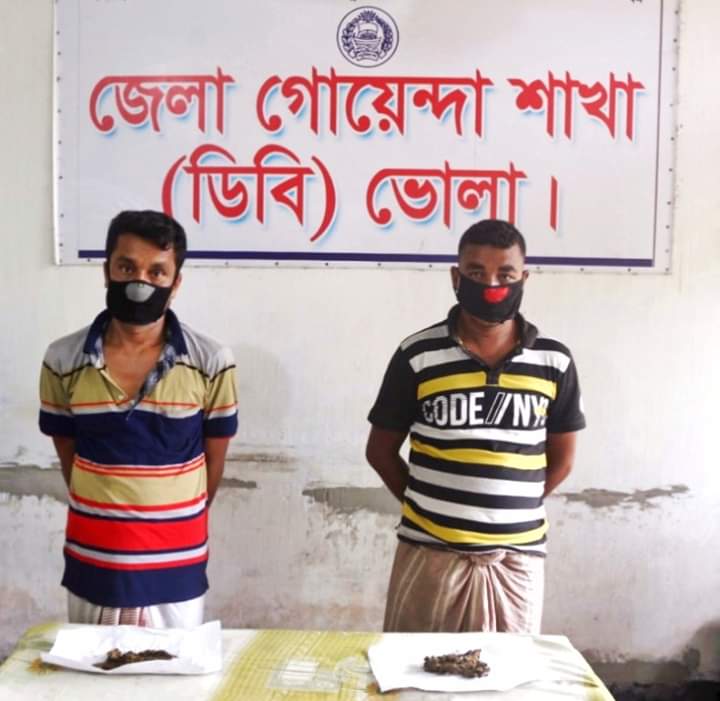 ভোলায় উত্তর বাপ্তা থেকে মাদক সহ দুই ব্যবসায়ী ডিবি পুলিশের হাতে আটক।।