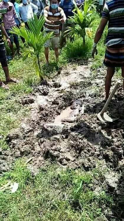 ভোলায় অপহরণের দুই দিন পর মাটি খুঁড়ে কলেজ ছাত্রের মরদেহ উদ্ধার করেছে পুলিশ।