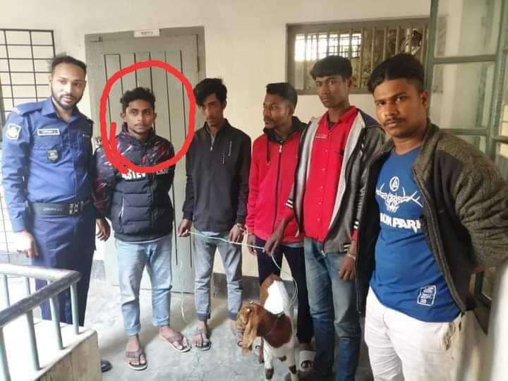 ভোলার বোরহানউদ্দিনের হাসান নগরে ছাগল চুরি! থানায় মামলা: আটক ৫।।