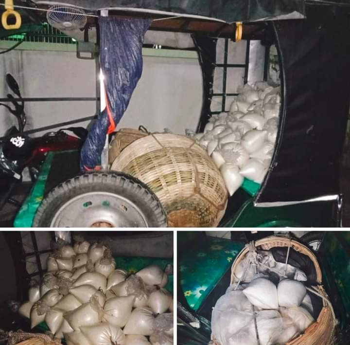 ভোলায় জনতার হাতে শুকরের ৩শ কেজি ছানা আটক।।