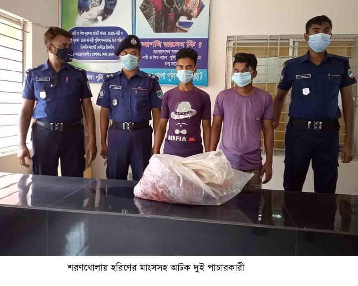 খুলনা বাগেরহাট শরণখোলায় হরিণের মাংসসহ দুই পাচারকারীকে আটক করেছে পুলিশ।।