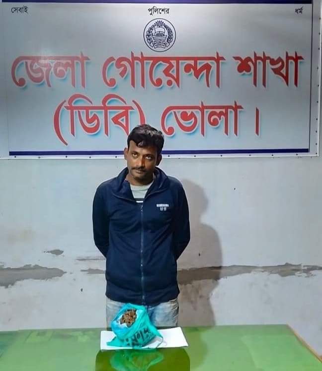 ভোলার হরে কৃষ্ণকে মাদকসহ আটক করেছে পুলিশ।।